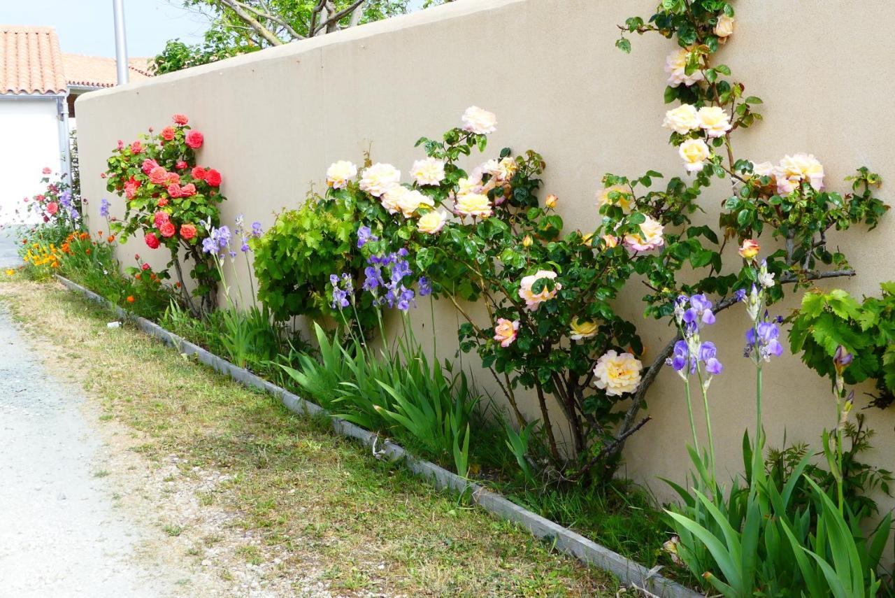 La Passerose 3 Pieces Avec Jardin Au Calme,A 300M De La Plage, Acomodação com café da manhã La Couarde-sur-Mer Exterior foto